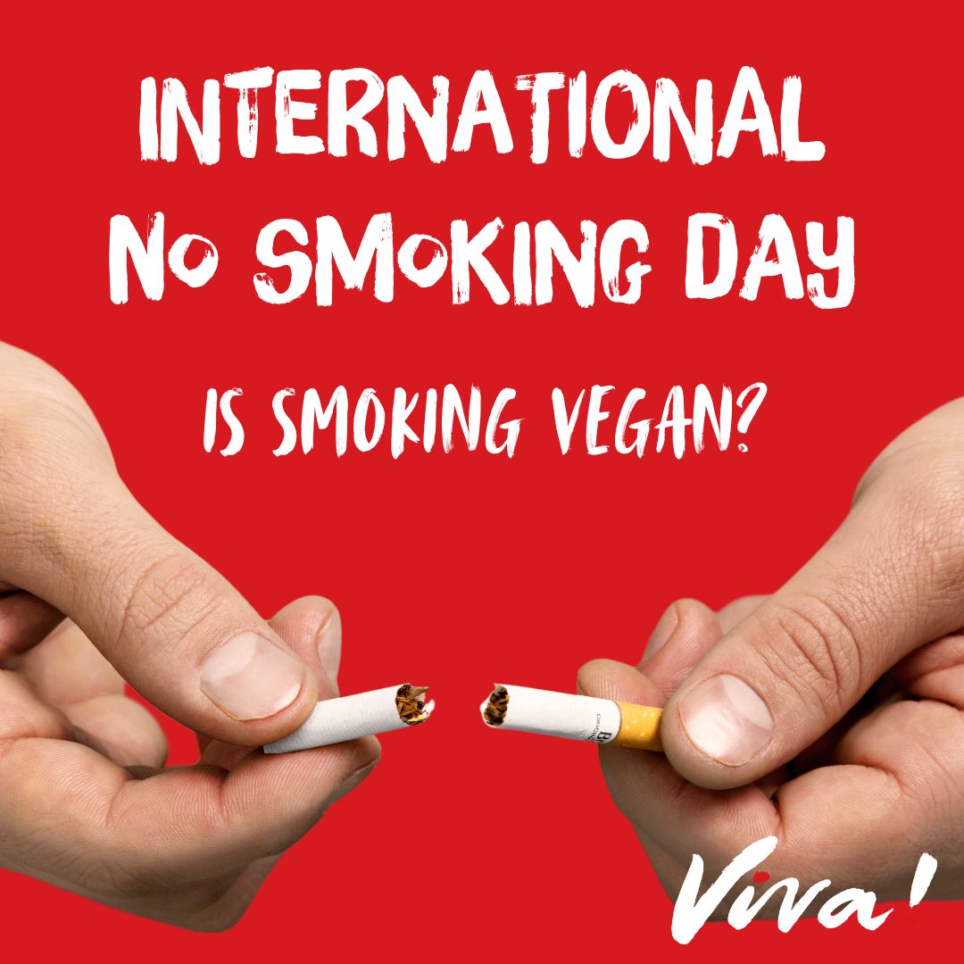 vegan cigarettes Viva!