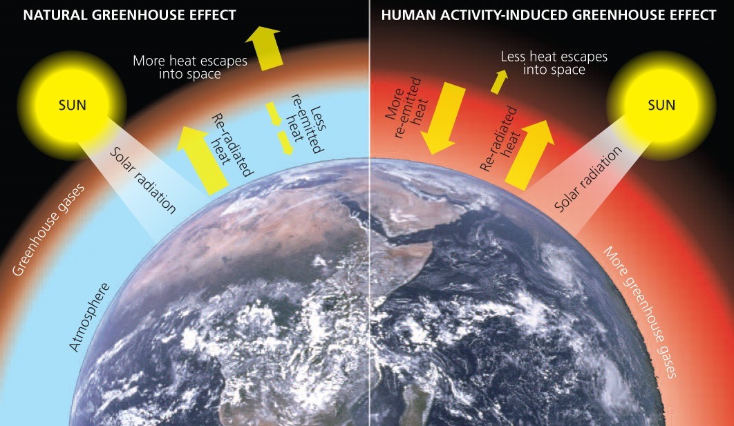 Climate Crisis Viva The Vegan Charity