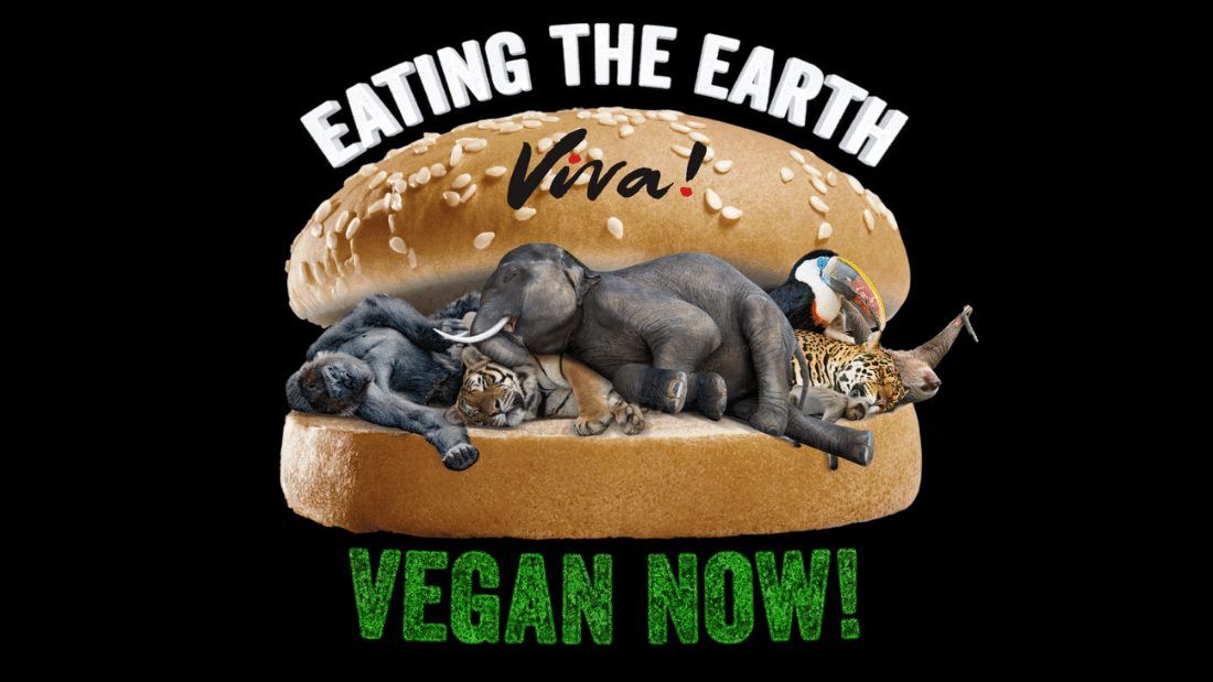 Viva The Vegan Charity